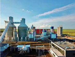 white cement plant case