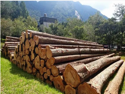 wood