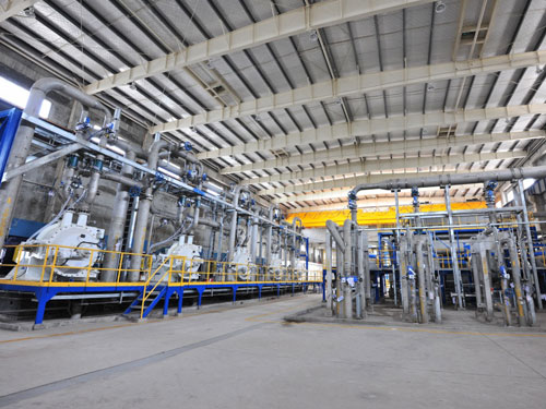 paper pulp plant case