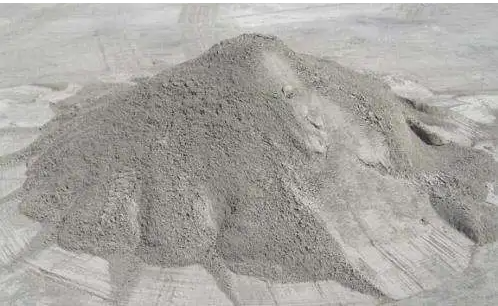 portland cement case