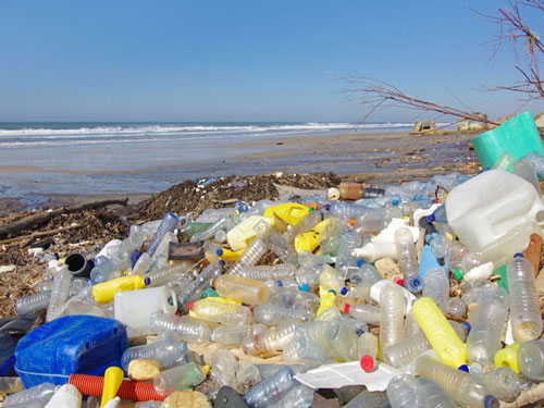 waste plsastic case