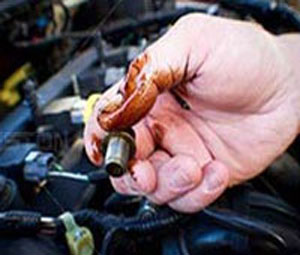 oil sludge engine case