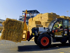 wheat straw pulp