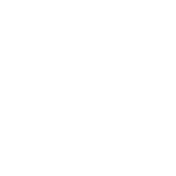 icon Advanced Technology