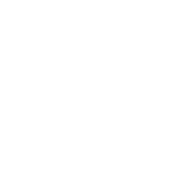icon Advanced kiln design