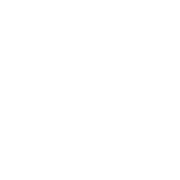 icon Customizable Services