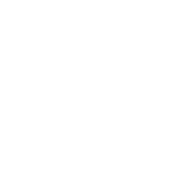 icon price