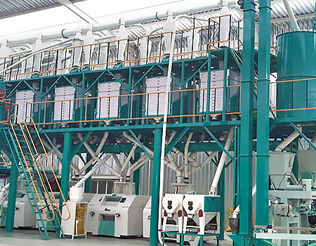 Wheat flour mill plant case