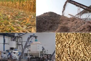 biomass pellet plant