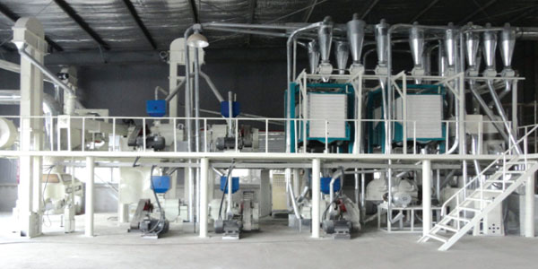 palm oil mill case