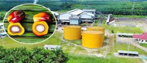 palm oil mill image