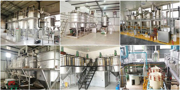 palm oil mill project