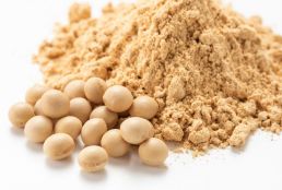 soybean meal