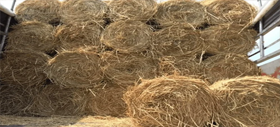 straw