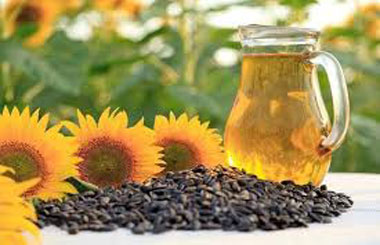 sunflower oil plant