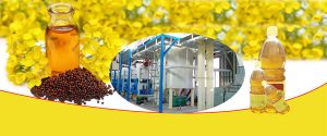 canola oil mill plants