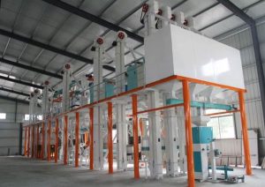 maize flour plant case