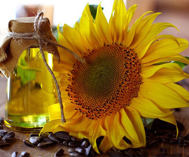 raw material of sunflower oil