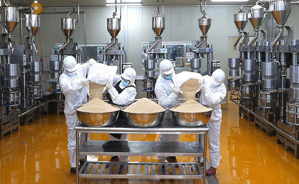 sesame oil labor