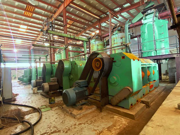 sesame oil mill plant case