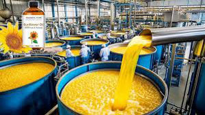 sunflower oil