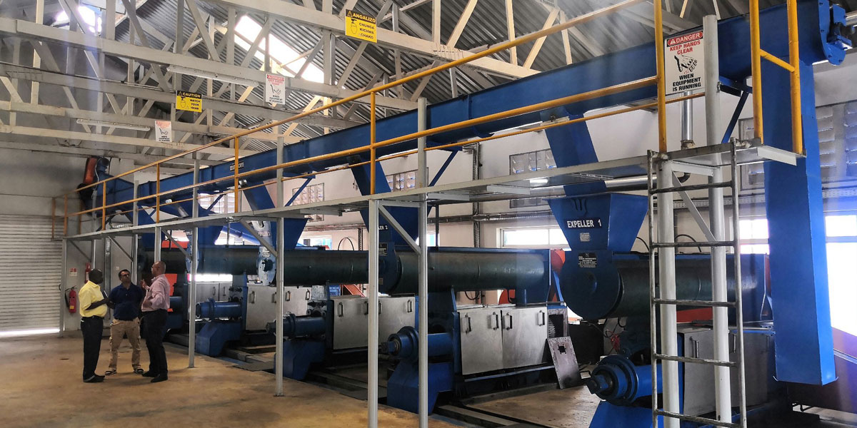 cottonseed oil mill project
