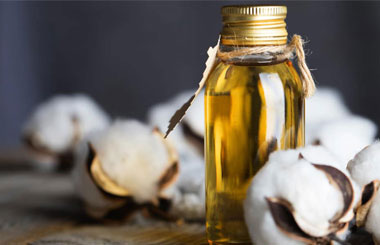 cottonseed oil plant