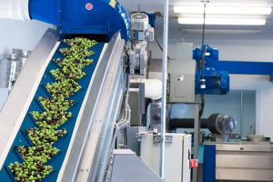 olive oil mill plant