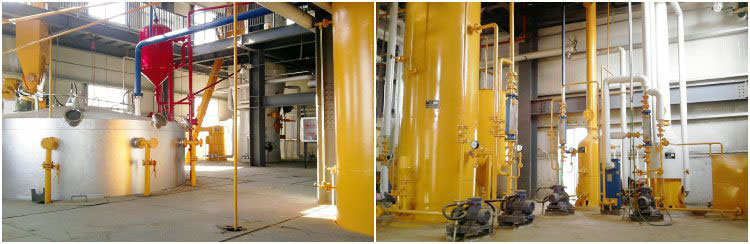 rice bran oil manufacturing factory