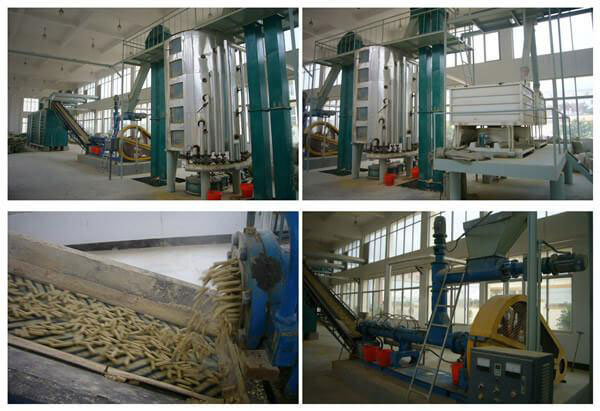 rice bran oil pretreatment
