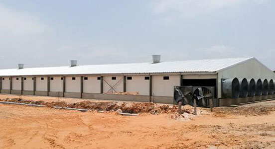 5000 Broiler Poultry House in Ghana