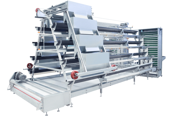 A Type battery chicken cage