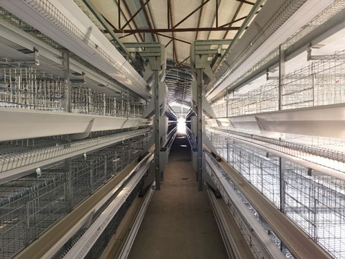 AGICO battery chicken cage