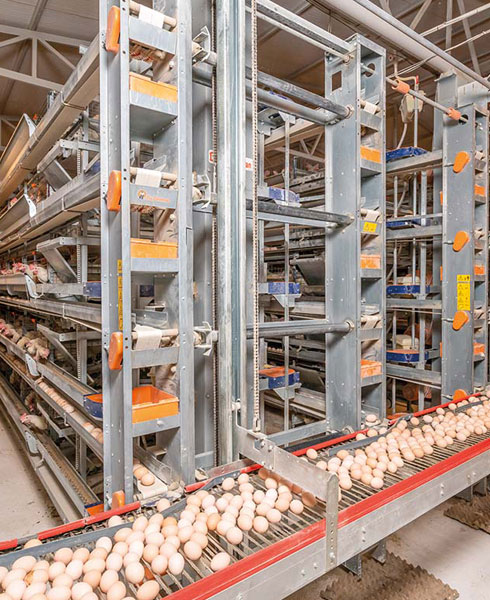 AGICO egg collection system
