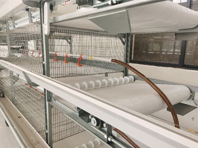 Belt type manure cleaner