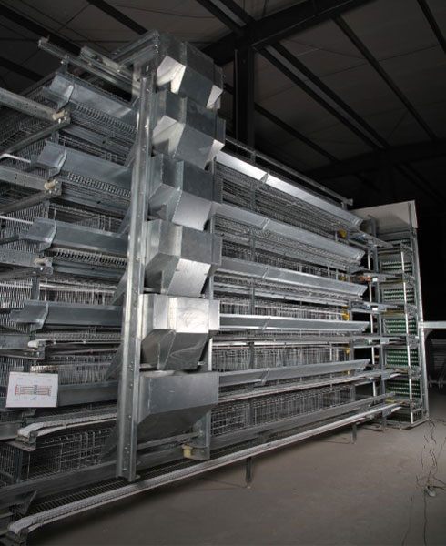 Feeders of H type chicken cage