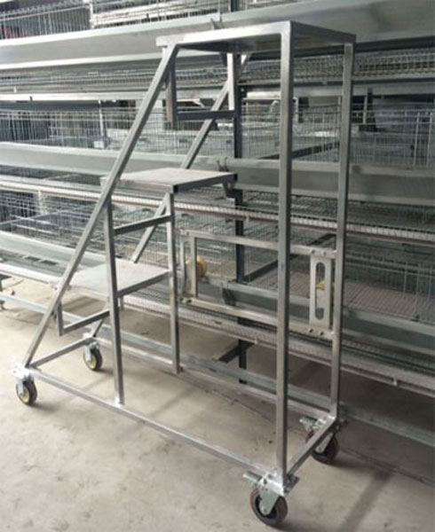 Observation Car of H type chicken cage