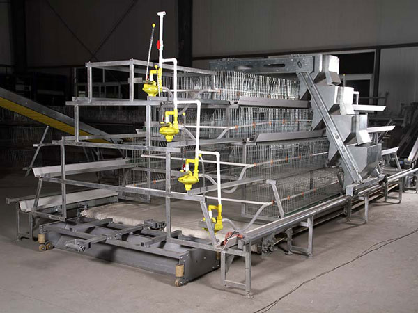 a type chicken cage of AGICO