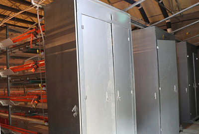 battery chicken cage of AGICO