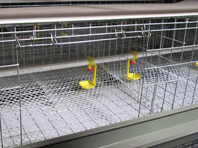 chicken cages bottom net