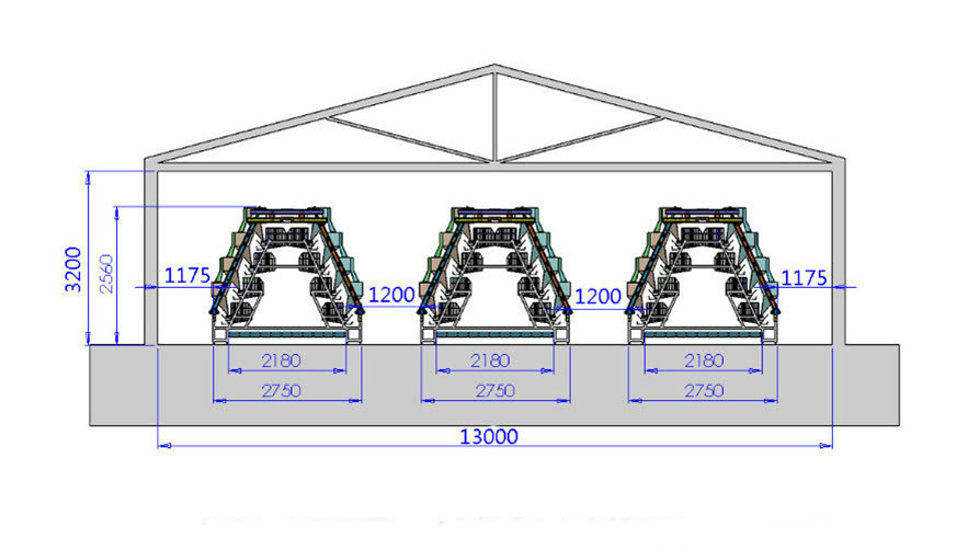 chicken house layout drawing for A type layer cage