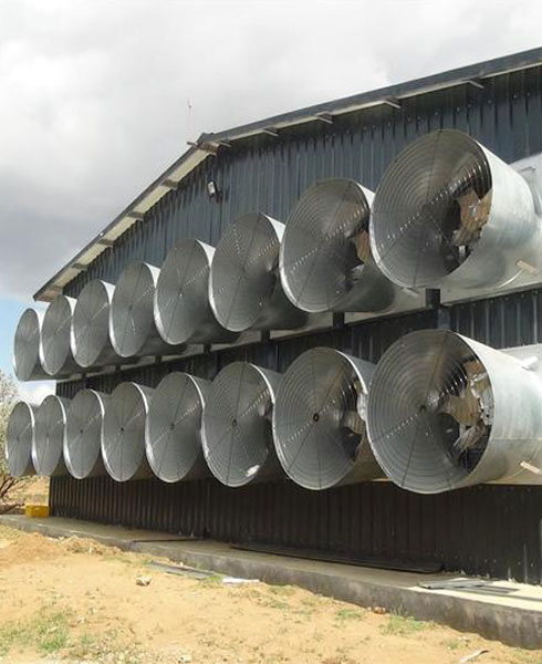climate control system of H type chicken cage