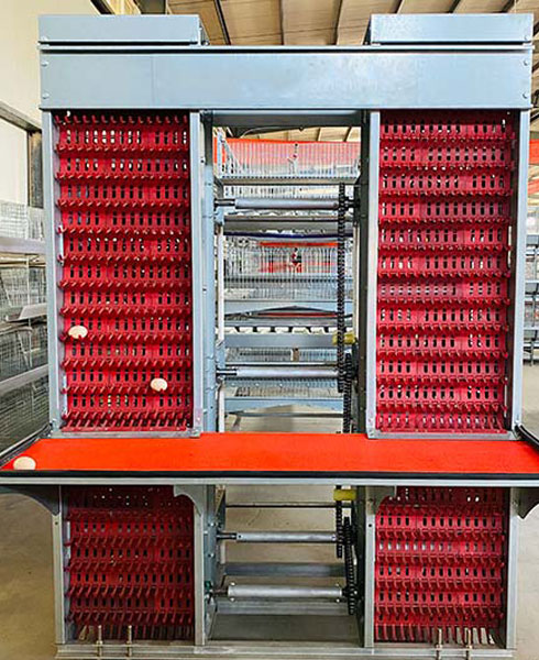 egg collection system