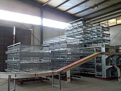 factory of cage