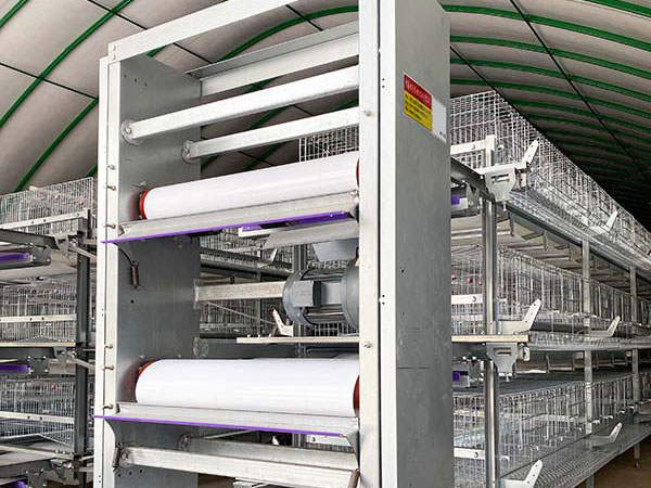 h type poultry cage
