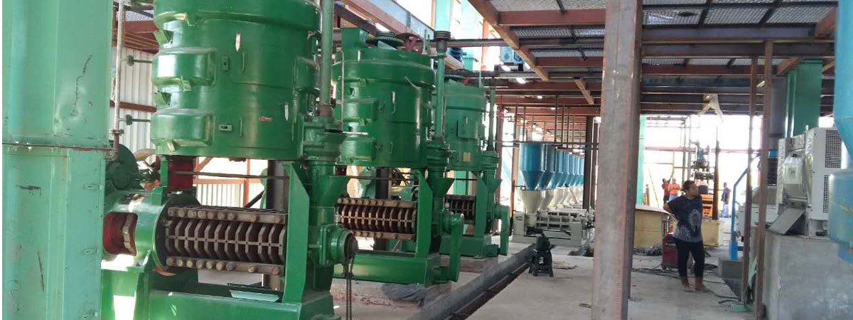 palm kernel oil mill project