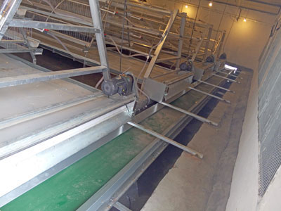 poultry manure removal system
