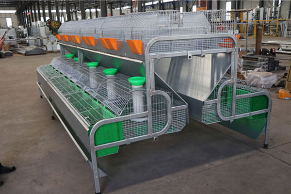 small scale rabbit cages