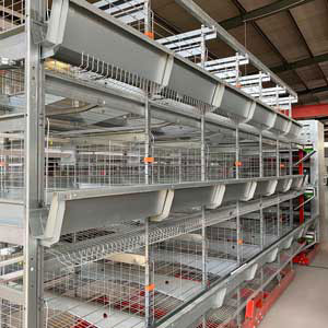 H type RTL cage