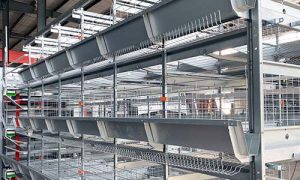 H type broiler chicken cage